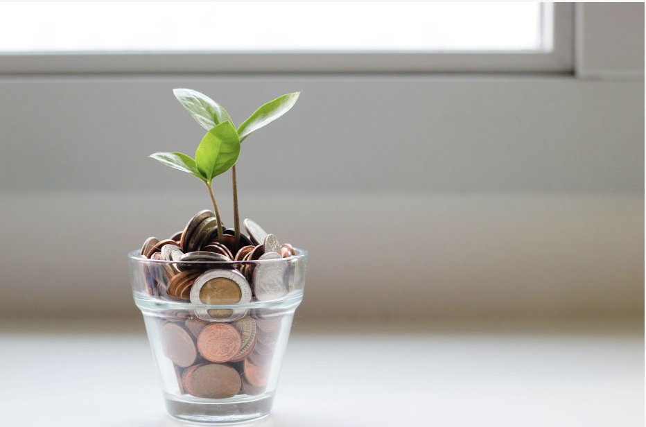 plant in a glass with coins